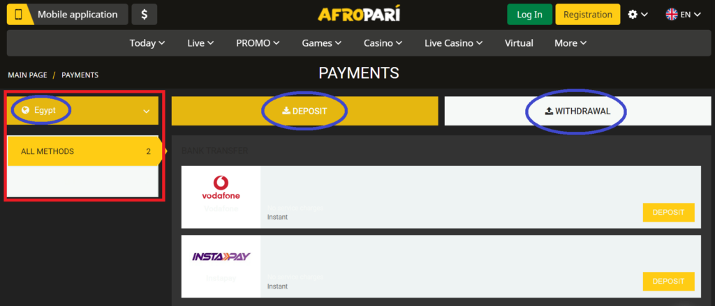 Deposit and Withdrawal Options for AfroPari Punters