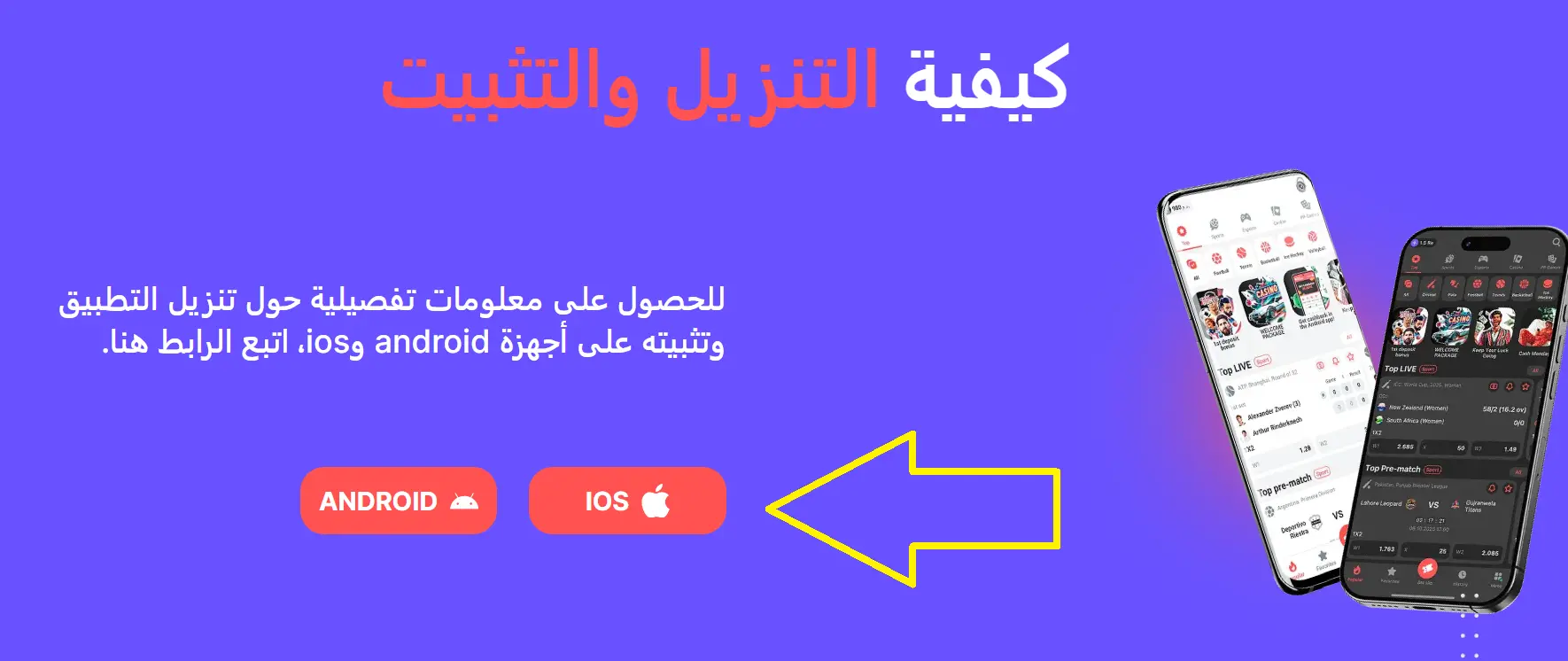 خيارات تحميل آمنة في مصر خيارات تحميل آمنة في مصر